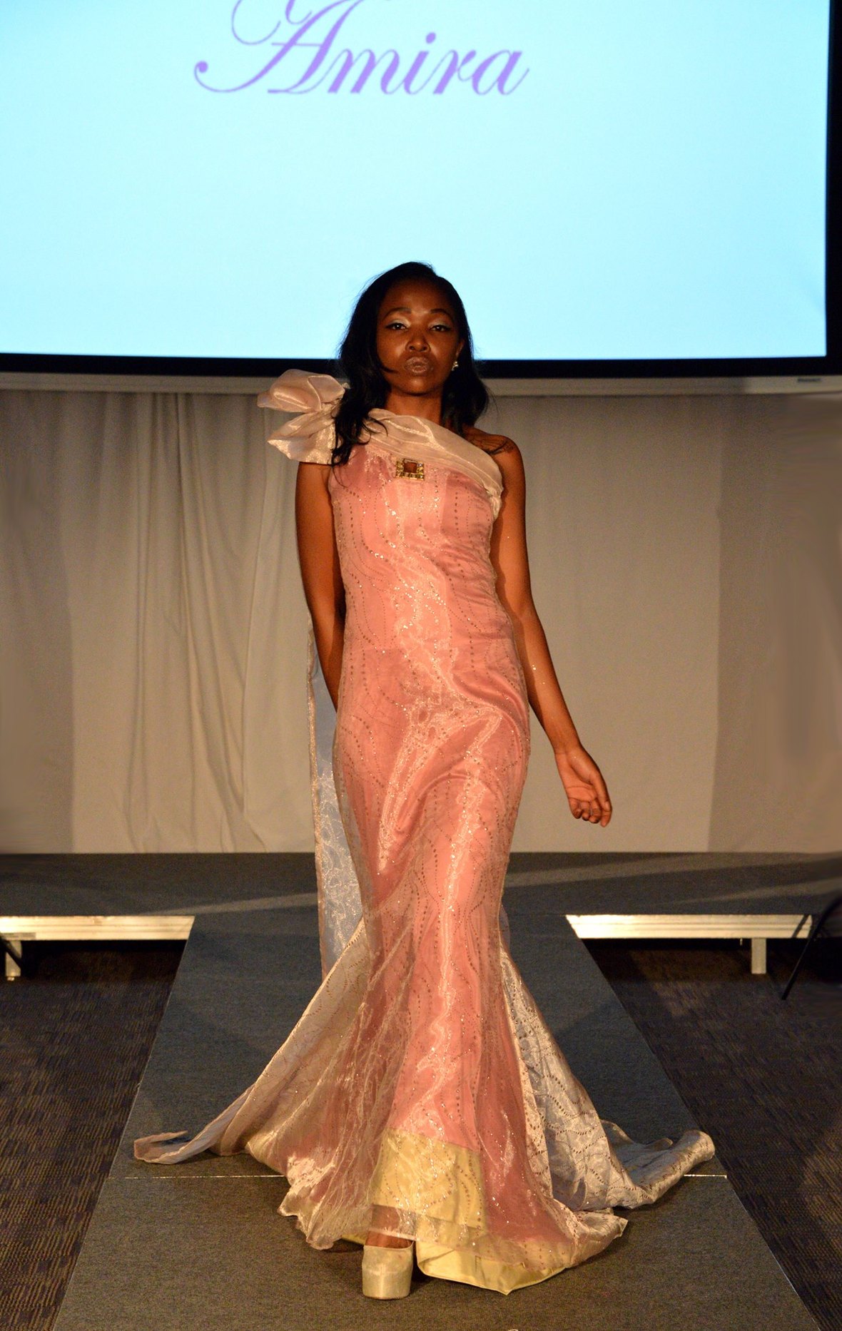 Boston Caribbean Fashion Takes the Runway!