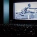 Screening  The Renaissance Period of the African American in Sports