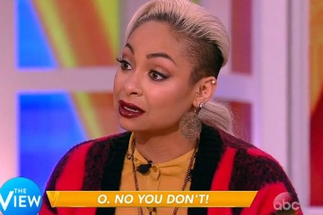 RAVEN SYMONE THE VIEW