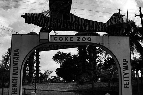 coke zoo cover