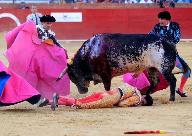 PAY Bullfighter dies at Feria del Angel
