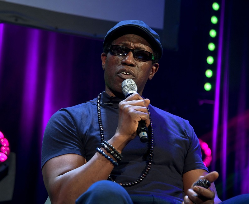 Wesley Snipes Reflects on Jail Time for Tax Evasion, Double Standard for Trump's Tax-Related Crimes