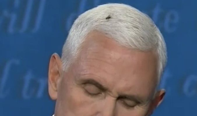 Joe Biden Selling Campaign Branded Fly Swatters After Huge Fly Takes Over Mike Pence's Hair and VP Debate Stage