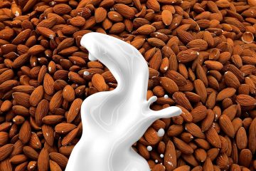 almond milk 1623610 1280