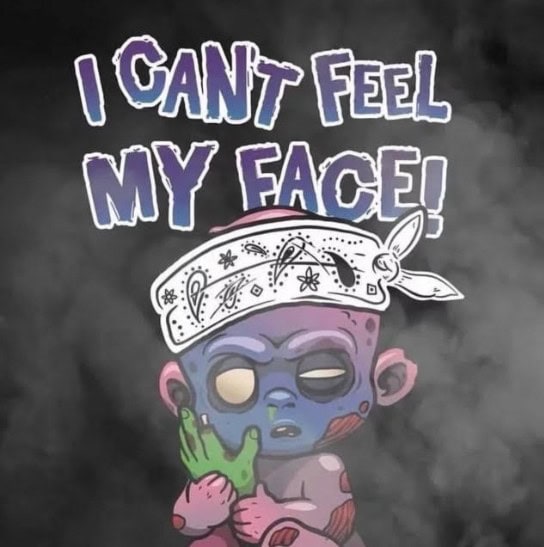 Screen Shot 2022 07 12 at 1.07.56 PM