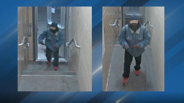 f420a541 a3c7 42e0 b049 402cae9d3983 large16x9 MSUSuspect