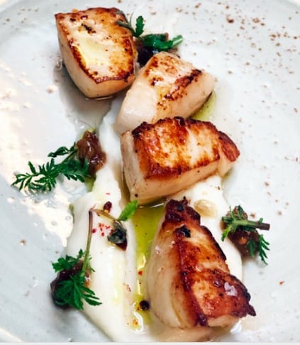 Screen Shot 2023 07 30 at 3.55.21 PM