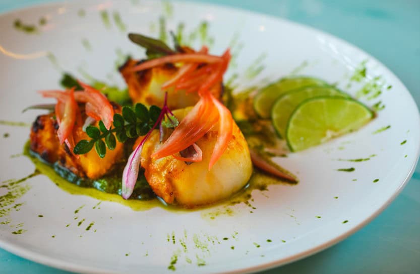 Screen Shot 2024 02 11 at 11.03.05 AM