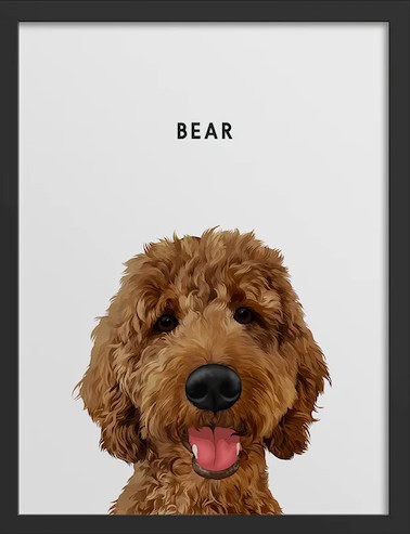 Screen Shot 2024 02 13 at 8.30.41 AM