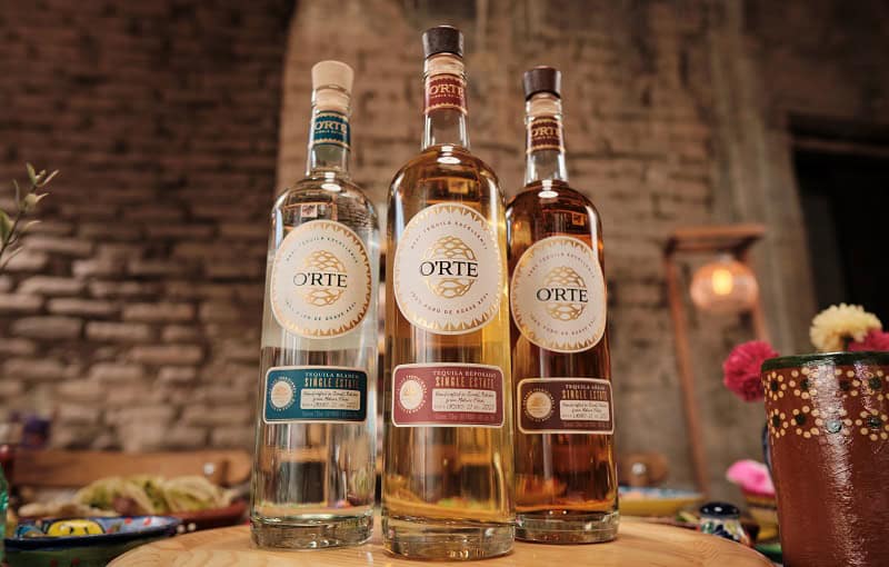 IMAGE 1 FAMILY SHOT38 1