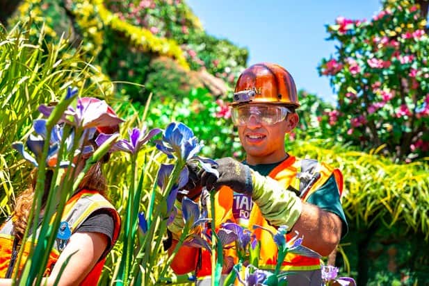 Screen Shot 2024 05 12 at 11.19.17 PM