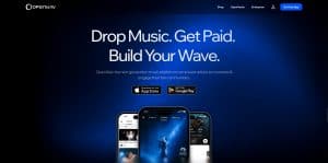 OpenWav x RADIOPUSHERS Launch Global Ambassadorship Platform for the New Music Economy