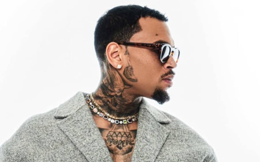 Chris Brown Wants To Limit Scope Of Dog Attack Lawsuit Before Trial